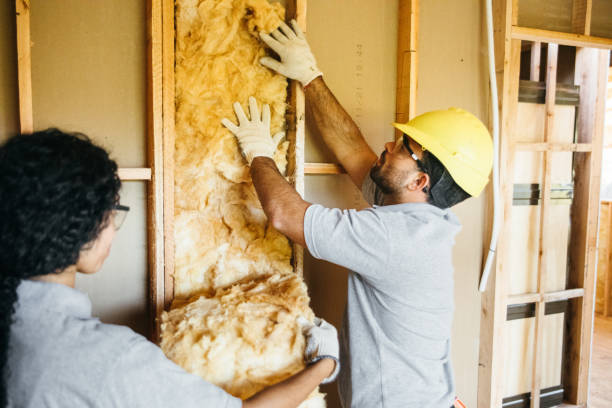 Best Insulation Replacement  in Mims, FL